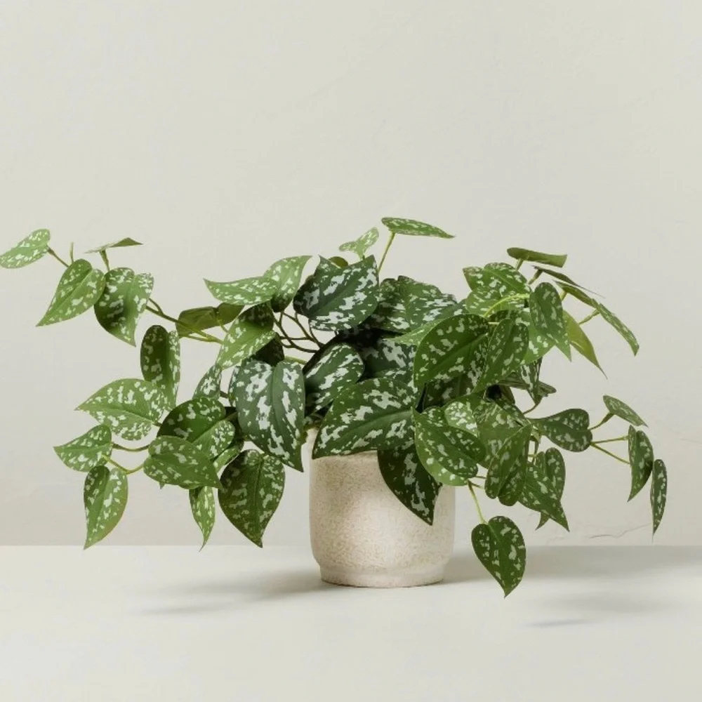 10” Faux Satin Variegated Pothos Plant - Hearth & Hand with Magnolia